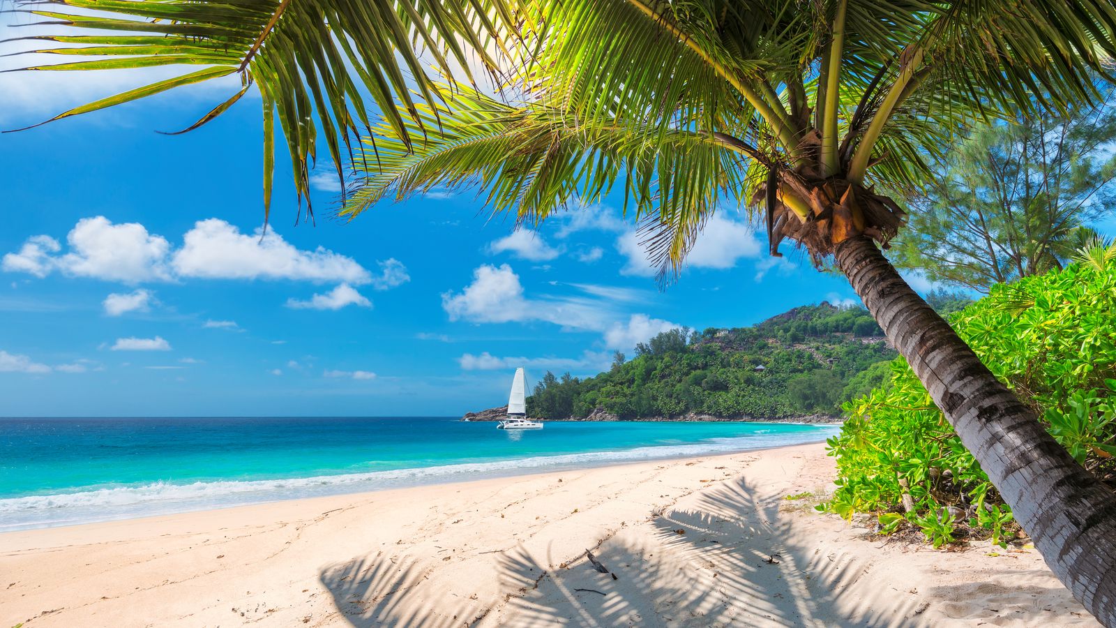 Boat Charter in Seychelles: The Complete Guide to Sailing Paradise